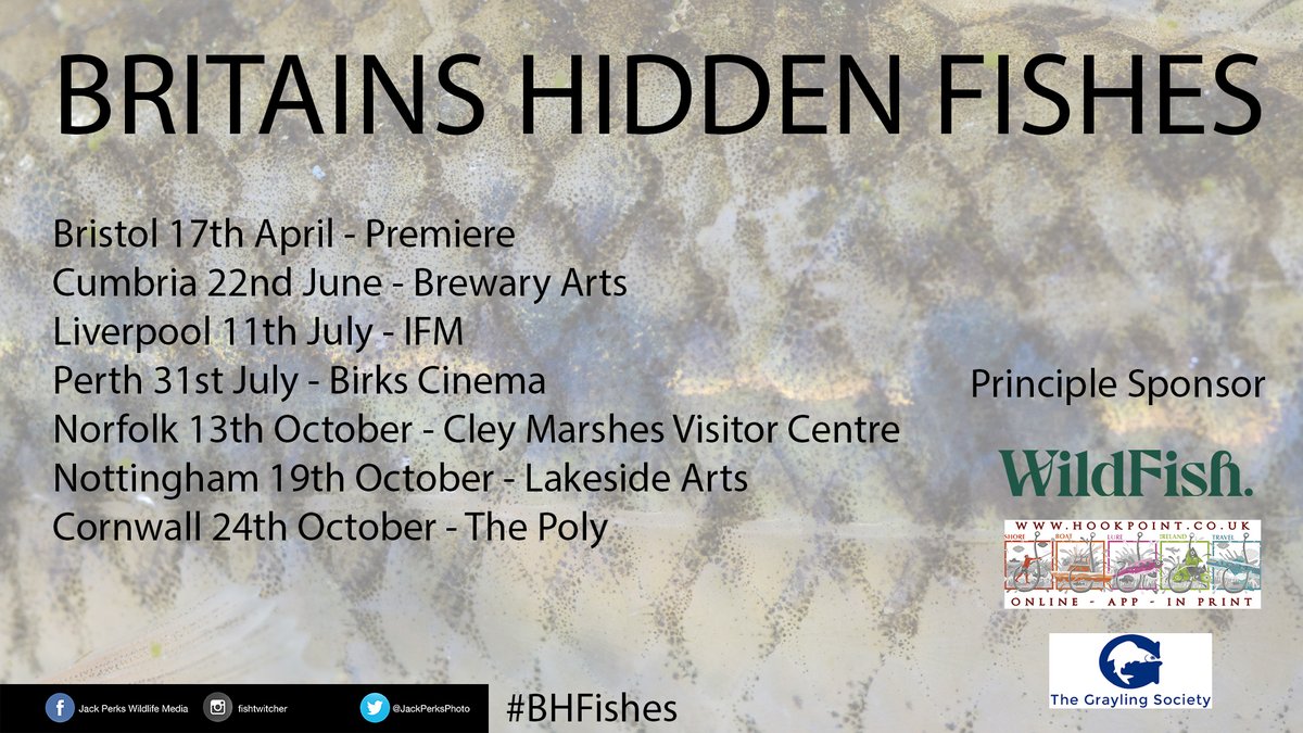 I've had a few people ask about screenings and whether BHF is going on TV! Heres the current screenings we have planned more to be announced and all I can say about TV is watch this space plans are a foot! 

youtube.com/watch?v=_E6nJT…