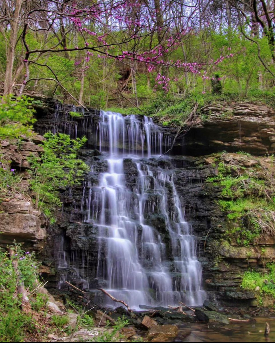 visitfrankfort's tweet photo. It's a beautiful day to get outside and explore Frankfort, KY!
📍: Cove Spring Park
📷: user drum679 on Instagram
#VisitFrankfort #GetOutside #KYTourism #TeamKentucky #KYDistilled https://t.co/mjkErzAXeo
