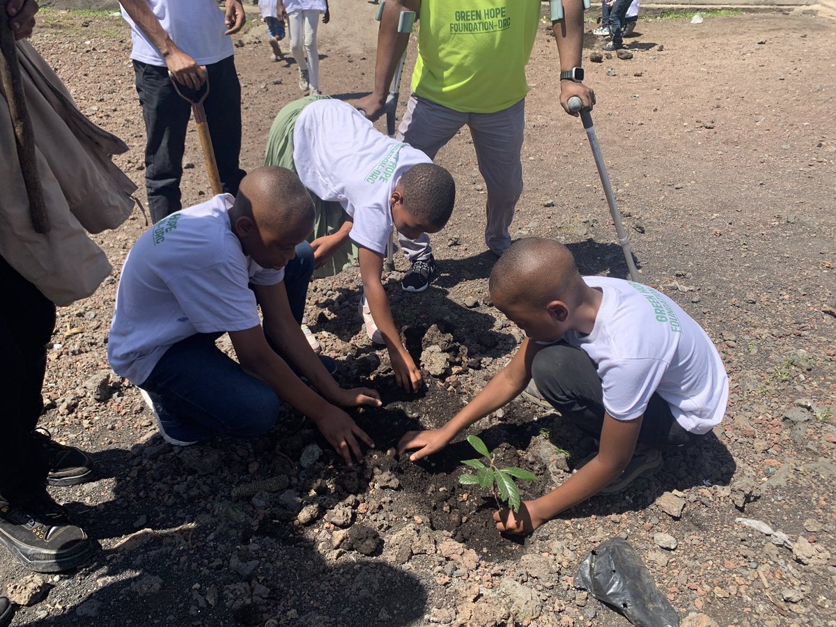 EDA |Enable the Disabled Action tweet media