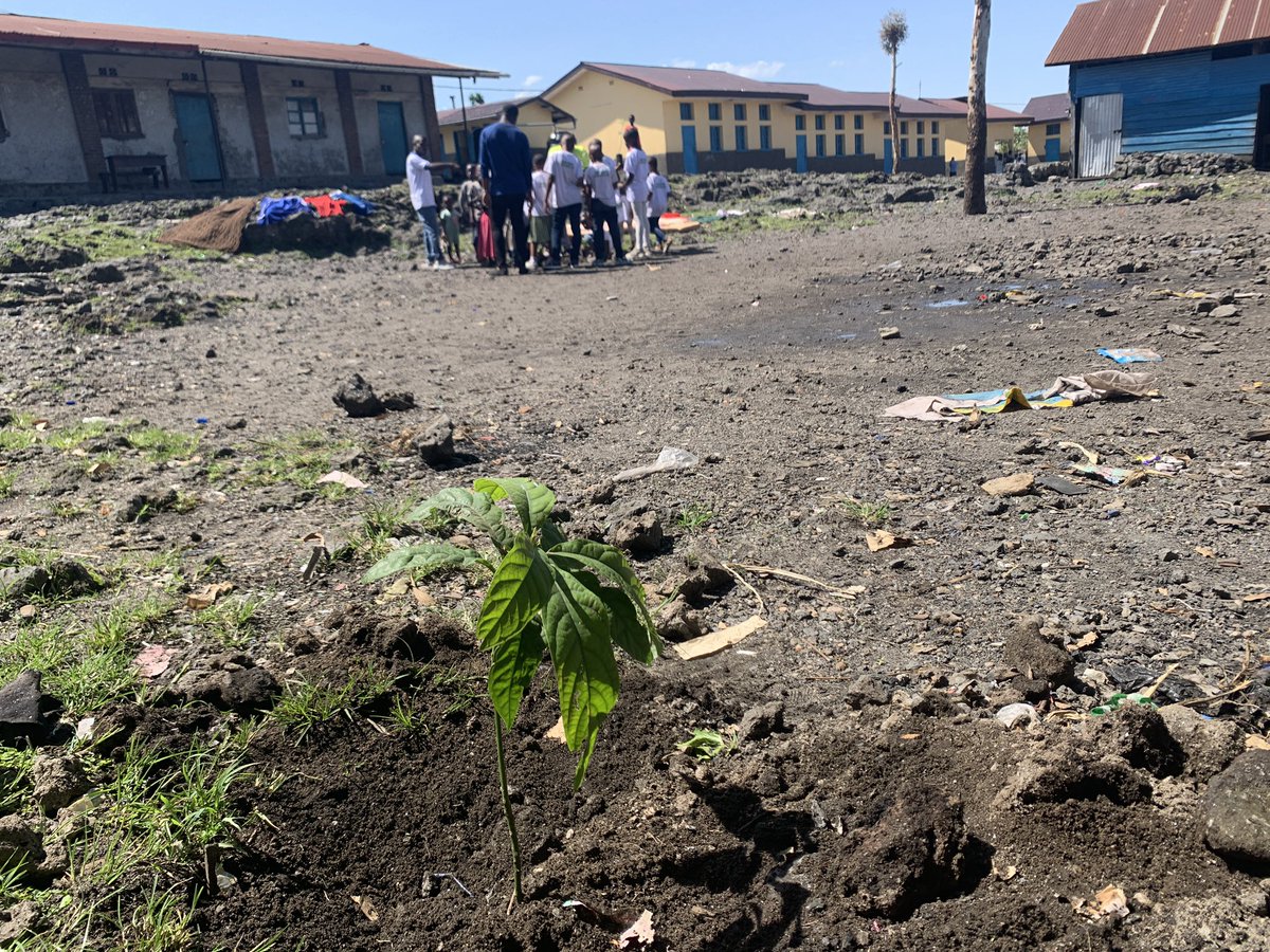 EDA |Enable the Disabled Action tweet media