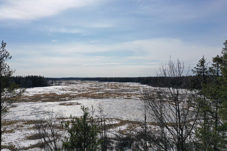 Tänään #opehommia <a href="/DMKT_UniTurku/">DMKT</a> ja lentelyä <a href="/suogeopark/">Lauhanvuori - Hämeenkangas UNESCO Global Geopark</a> Tässä lainehti Sinahmijärvi, kunnes kylän toimeliaat isännät kuivasivat sen niityksi karjan talvirehun turvatakseen 1800-luvulla. Nyt alue on soistuva vesilintujen muuttoparatiisi.
