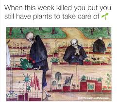 It's the little things 💕 https://t.co/Pyz1UAIEJ6