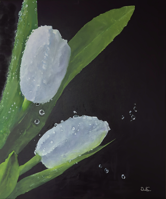 Clark's Art tweet media