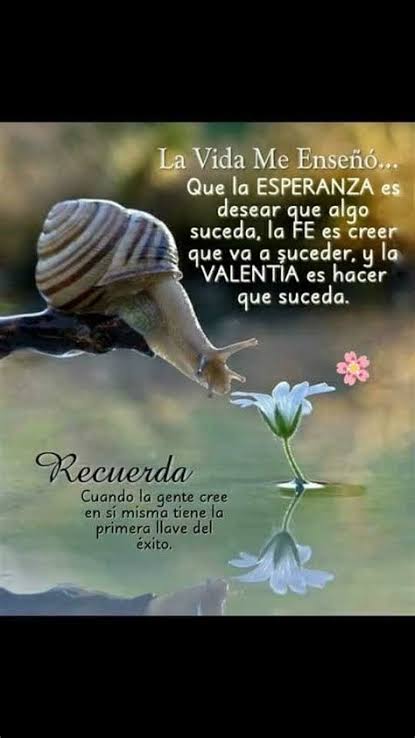 🙃☕No dejes de sonreír.Feliz viernes a todos 💚🤍♥️🕊️🌎