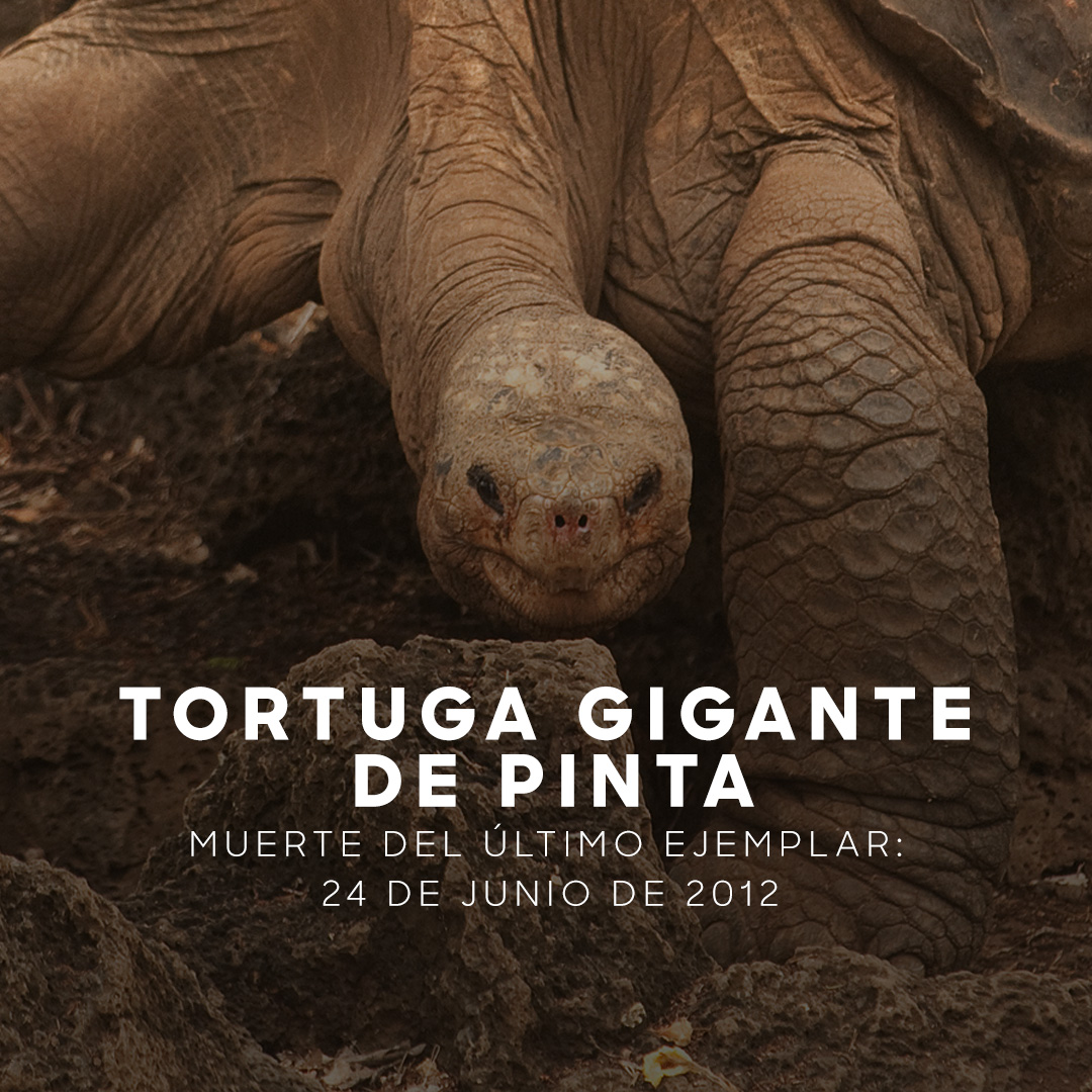 DiscoveryLA's tweet photo. La lista más triste que verás hoy 😔 #MesDeLaTierra https://t.co/Vo3wvuZ5lc