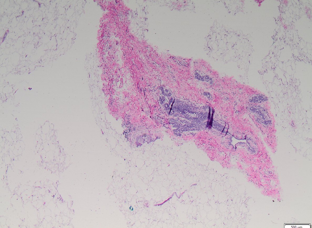 Masood Hassan tweet media