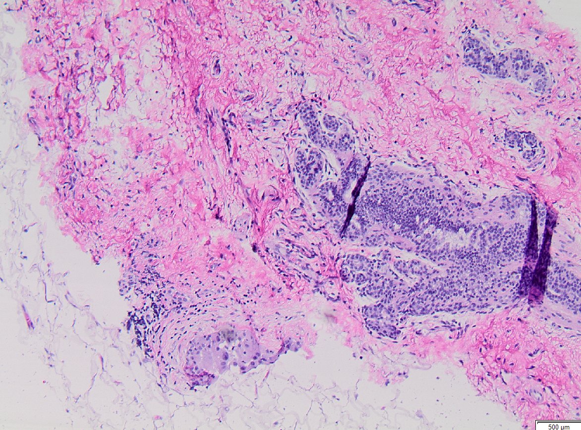 Masood Hassan tweet media