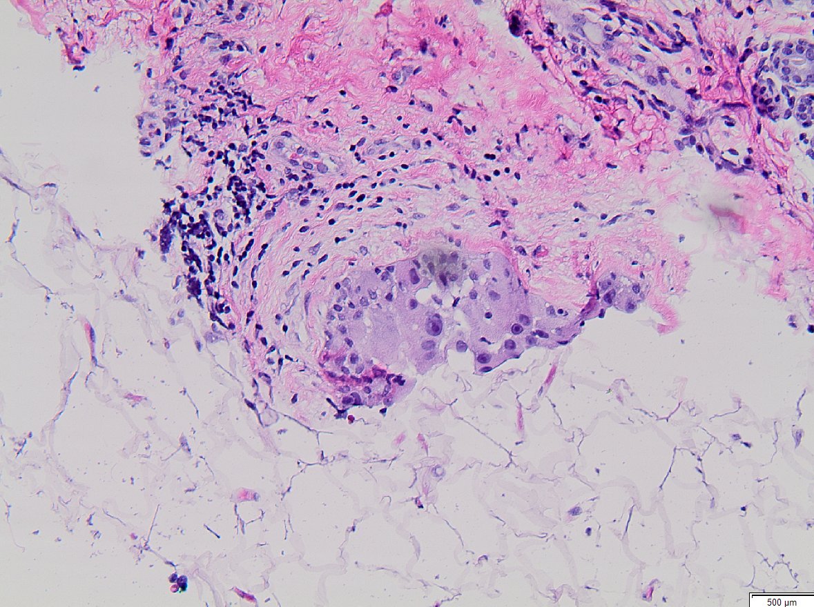 Masood Hassan tweet media