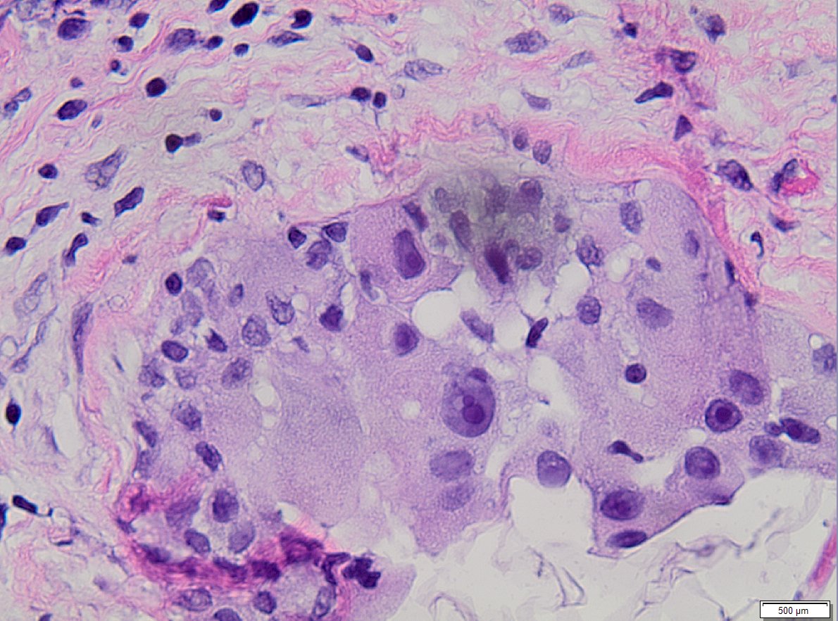 Masood Hassan tweet media