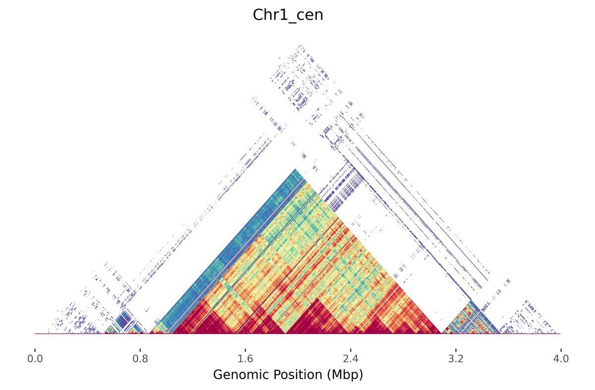 Check out the beta release of @alexsweeten's new tool Mod.Plot! We 'mashed up' @mrvollger's StainedGlass visualization with minhashing to enable instant and interactive dotplotting. No alignment needed! Preprint of the method to follow in a couple months 📈