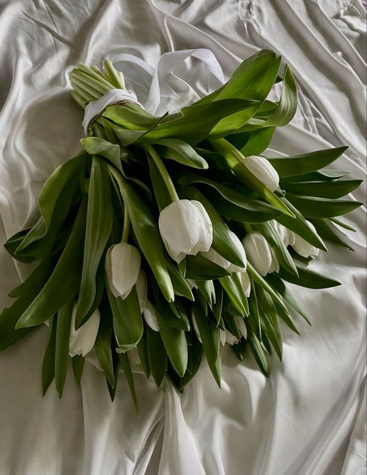 MargoKydrya's tweet photo. tulips https://t.co/anDyVIayNB