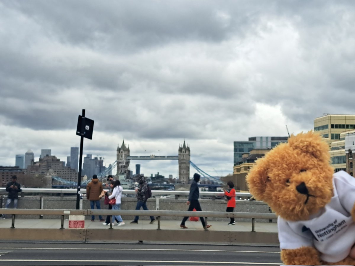 Eye spy with my little eye... Sparky the UoN Psychology bear is touring it up around London! #uon #uonpsych <a href="/notts_psych/">School of Psychology, University of Nottingham</a>