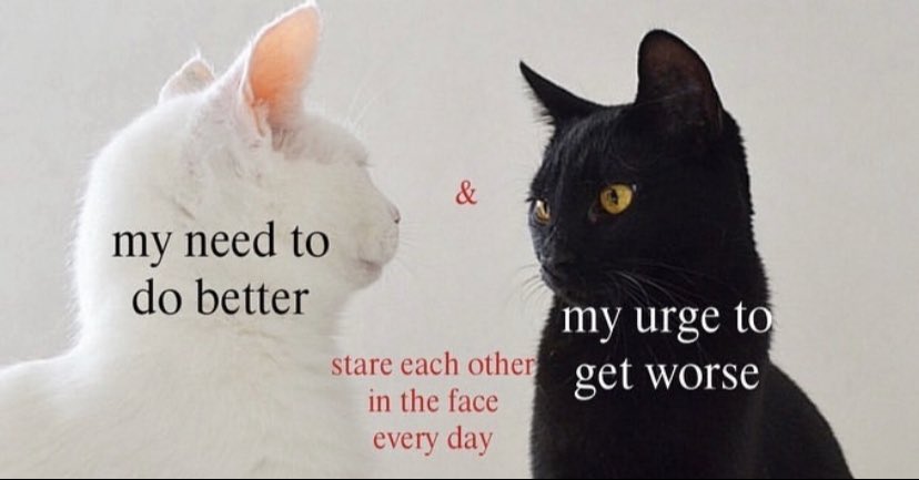 northstardoll's tweet image. 