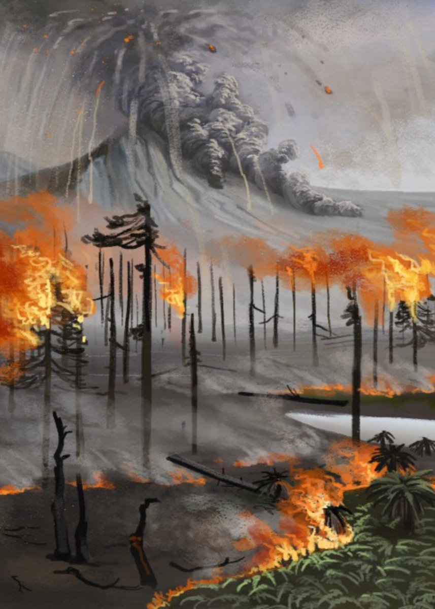 Antarctic on fire 🔥! We are not joking, it is out there a new brand paper of our postdoc <a href="/josimanfroi/">Joseline Manfroi</a> and colleagues reporting paleo-wildfire events associated with volcanic deposits in the Antarctica Peninsula during the Late Cretaceous: frontiersin.org/articles/10.33…
