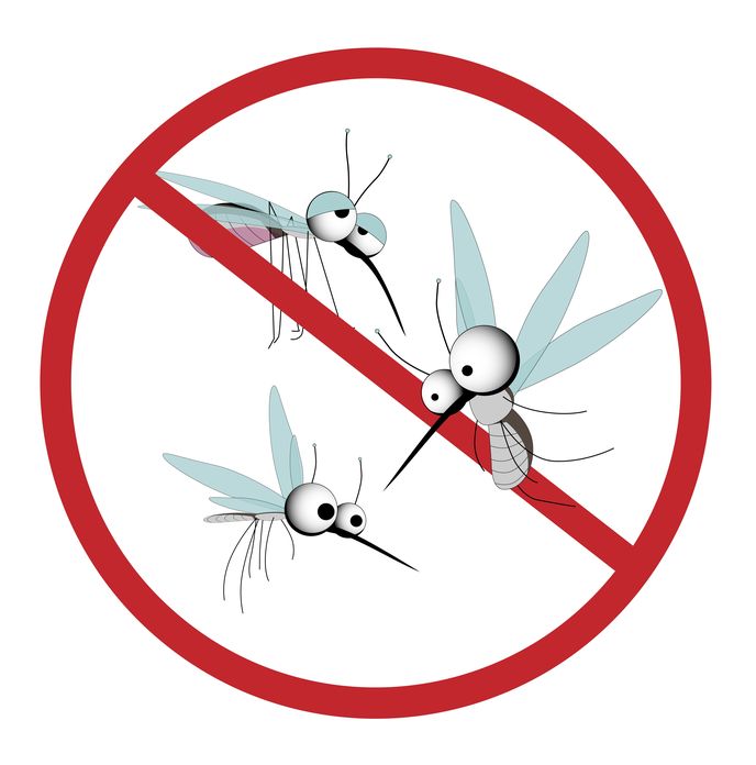 VistaProScapes's tweet photo. Here are a few easy ways to help keep your yard mosquito free this summer so you can protect yourself and your loved ones!
https://t.co/iMtAInlG0n https://t.co/z6dmL4Wnka