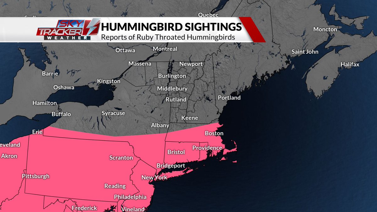 WasilenkoAlex's tweet photo. I'm back in the #SkyTracker Weather Center tonight filling in for @HaleyBouleyWX. Coming up on ABC22 News at 6/7 PM, I'll be talking about a decent weekend ahead with continued warm temps🌡️
.
.
.
We'll also talk progress of the #hummingbird migration! See you there!🐦
@WVNYWFFF https://t.co/yrGDZz2KWt