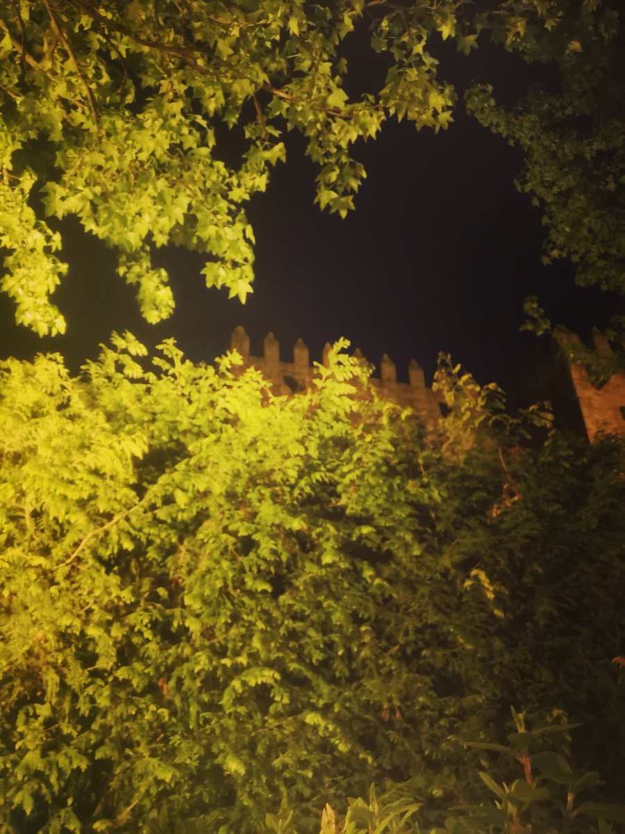 cacaudessert's tweet photo. Tem melhor date que este?
#sextas https://t.co/J8Mrg1gD7V