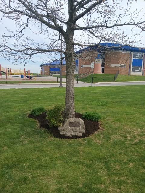 KimIngram22's tweet photo. Major progress @lshspioneers @LSPioneers #gardening #community #lifeskills #memorialized Weeded, planted, and mulched! @LSBoysLacrosse https://t.co/RCRW8b1QQY