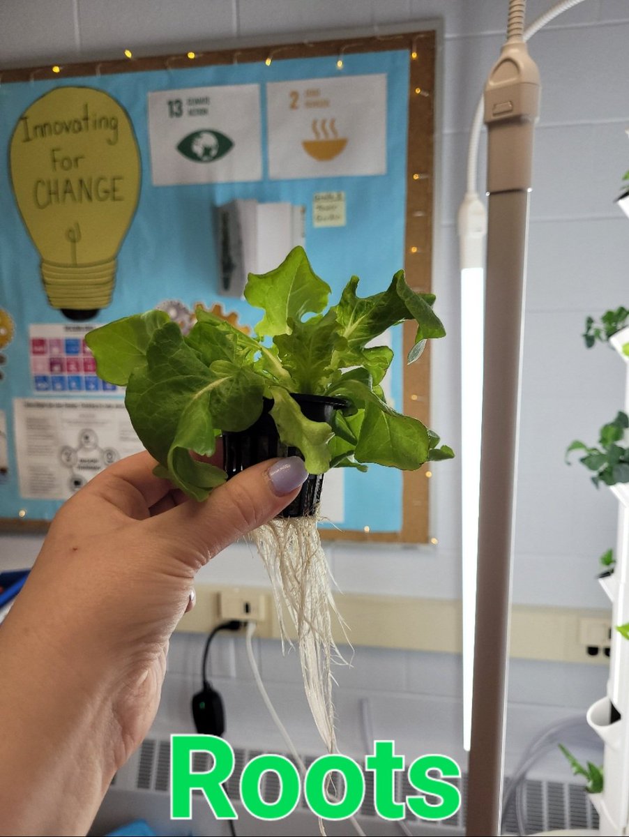 Jennifer Joseph tweet media