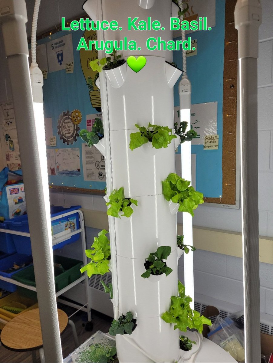 Jennifer Joseph tweet media