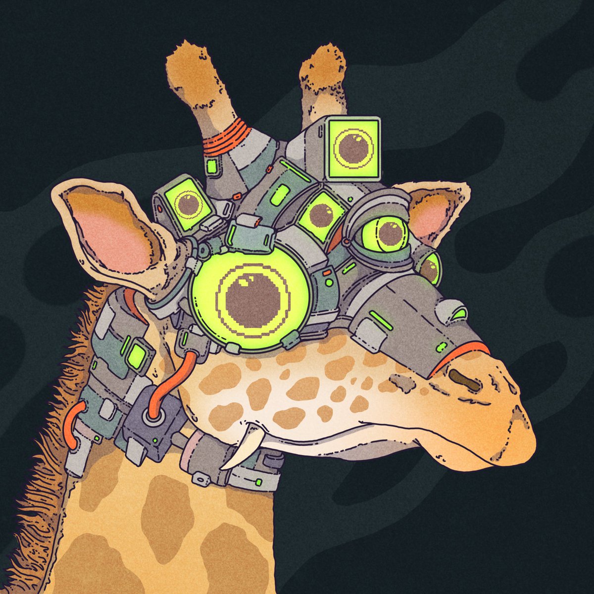 Dropout Giraffes tweet media
