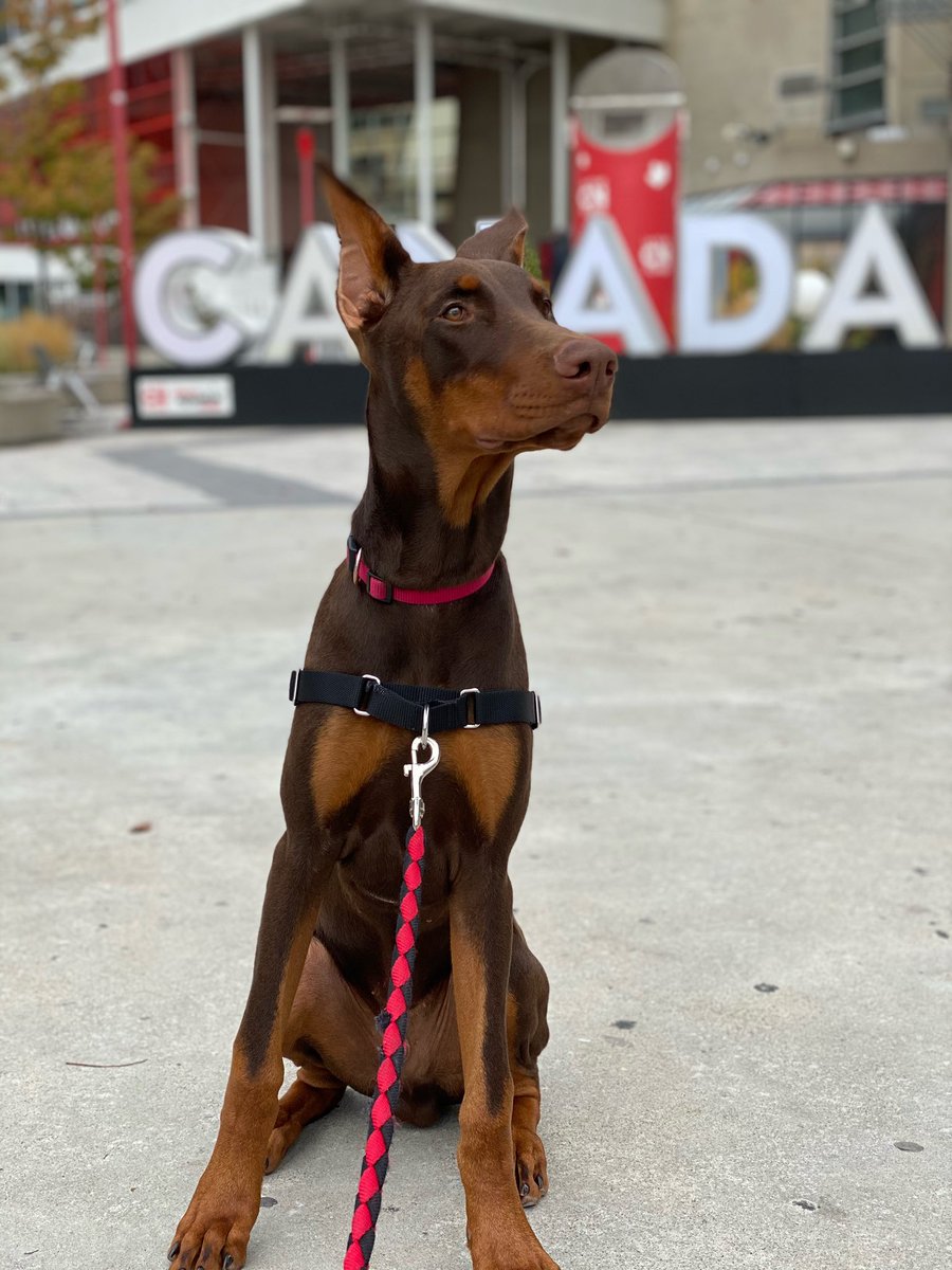 Happy birthday baby boy