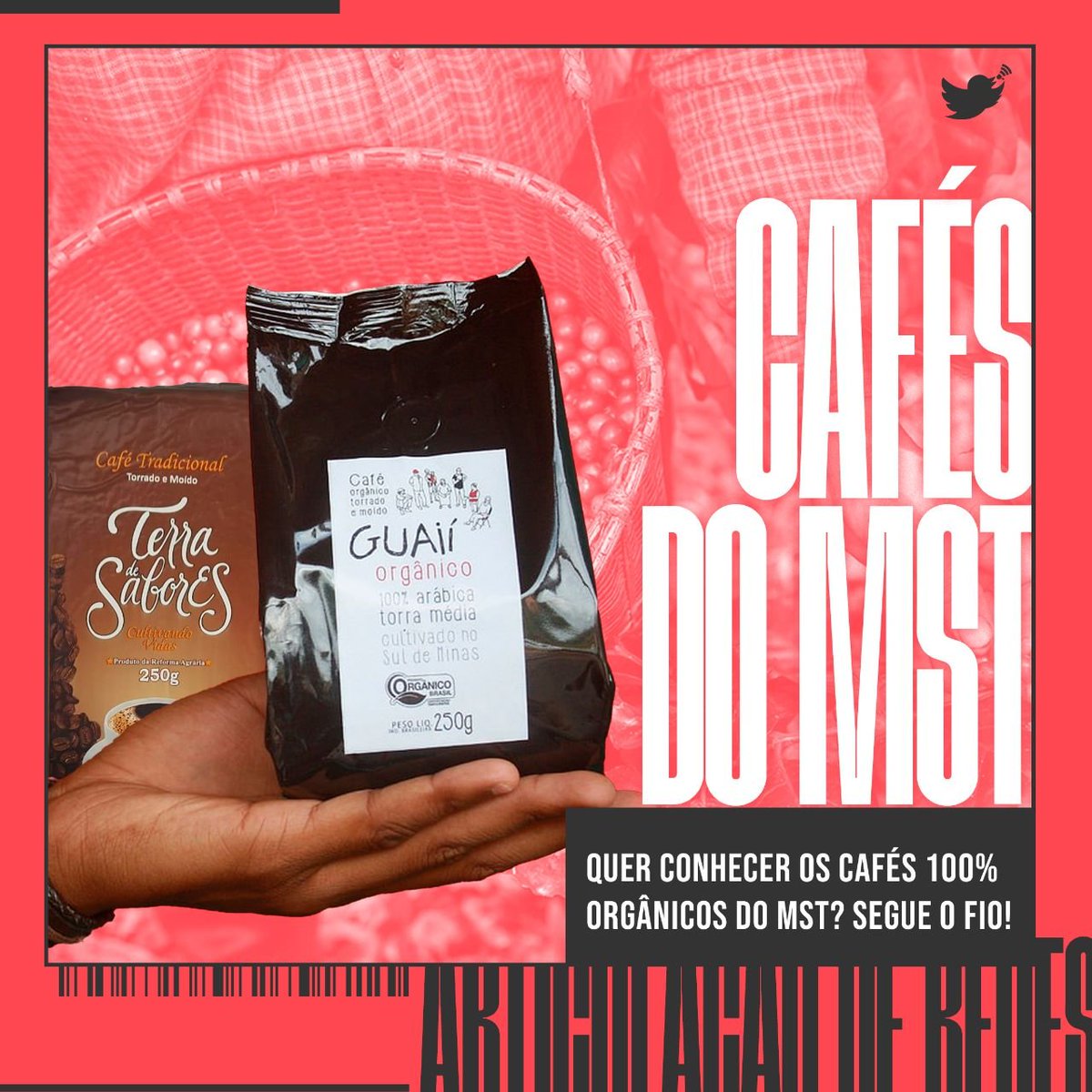ArticulaRedes2's tweet photo. Hoje é Dia Mundial do Café, e quem não gosta de um café quentinho? Mas e se além de tomar uma bebida saborosa, você soubesse que está bebendo algo livre de agrotóxicos, sustentável e incentivando a agricultura familiar? https://t.co/FOOnPD5VOQ