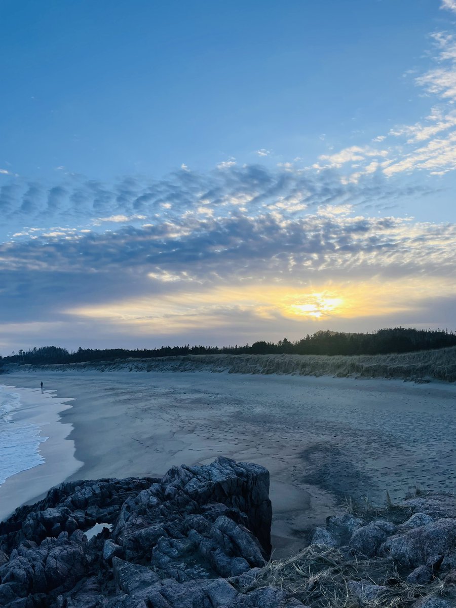valene_roach's tweet image. The sky is alive at Sandbanks Provincial Park #BurgeoNL #longerevenings @EddieSheerr @NLtweets @weathernetwork
