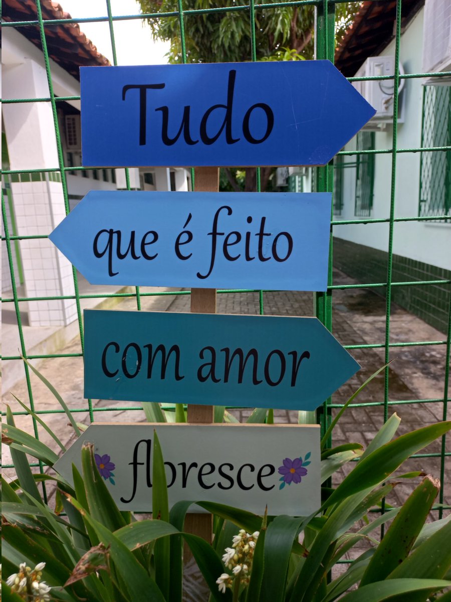 Danamlima's tweet photo. #escolaspublicascomorgulho #piaui https://t.co/RI1kIq71Z3