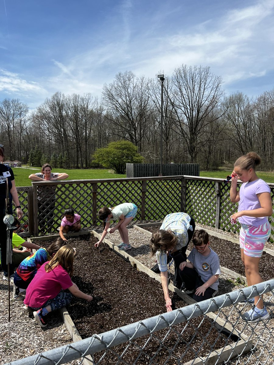 MrsMacRaild's tweet photo. Rushwood Garden Lab! https://t.co/kf7PvXFLxY
