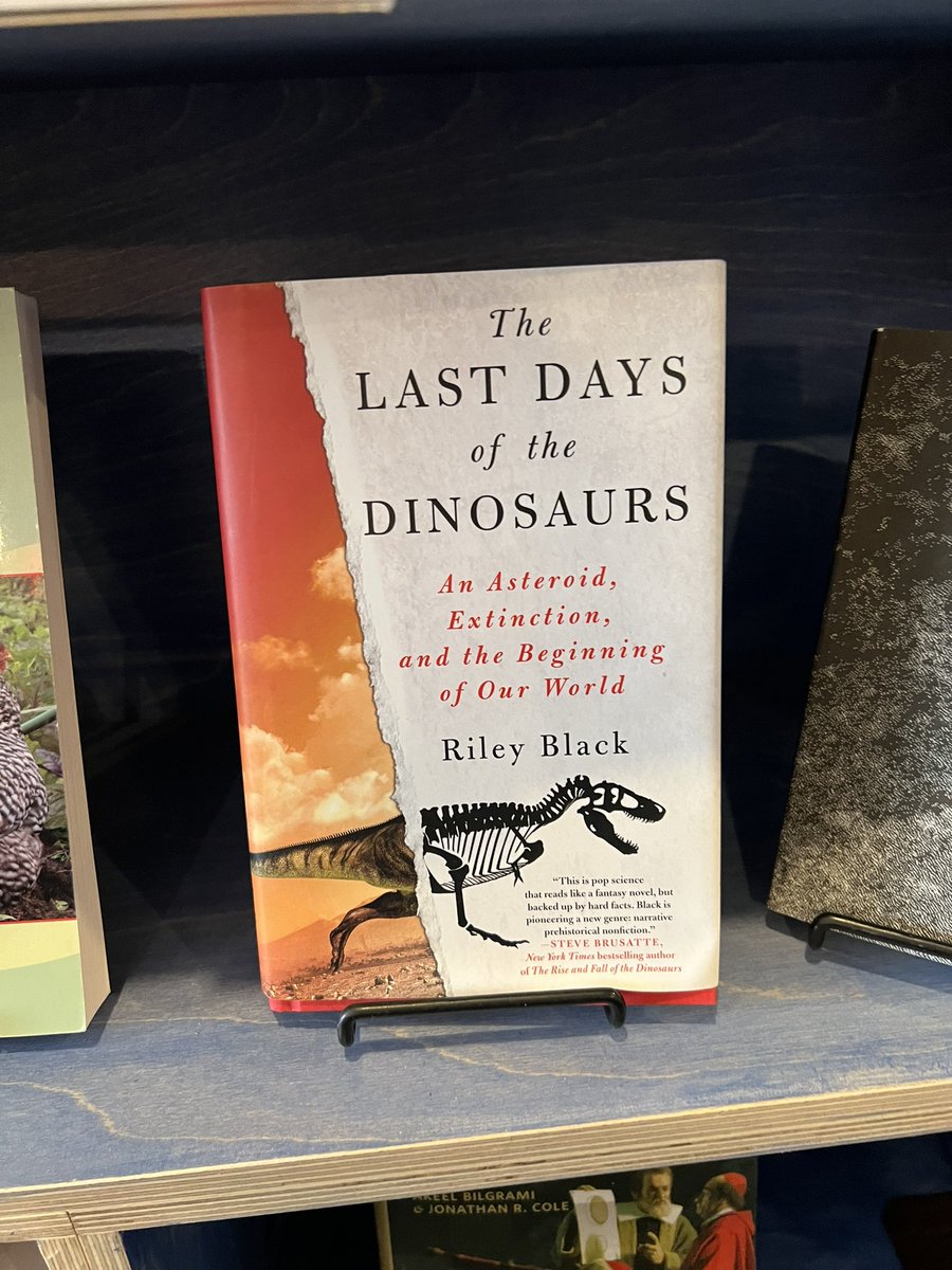 Perrin Ireland tweet media