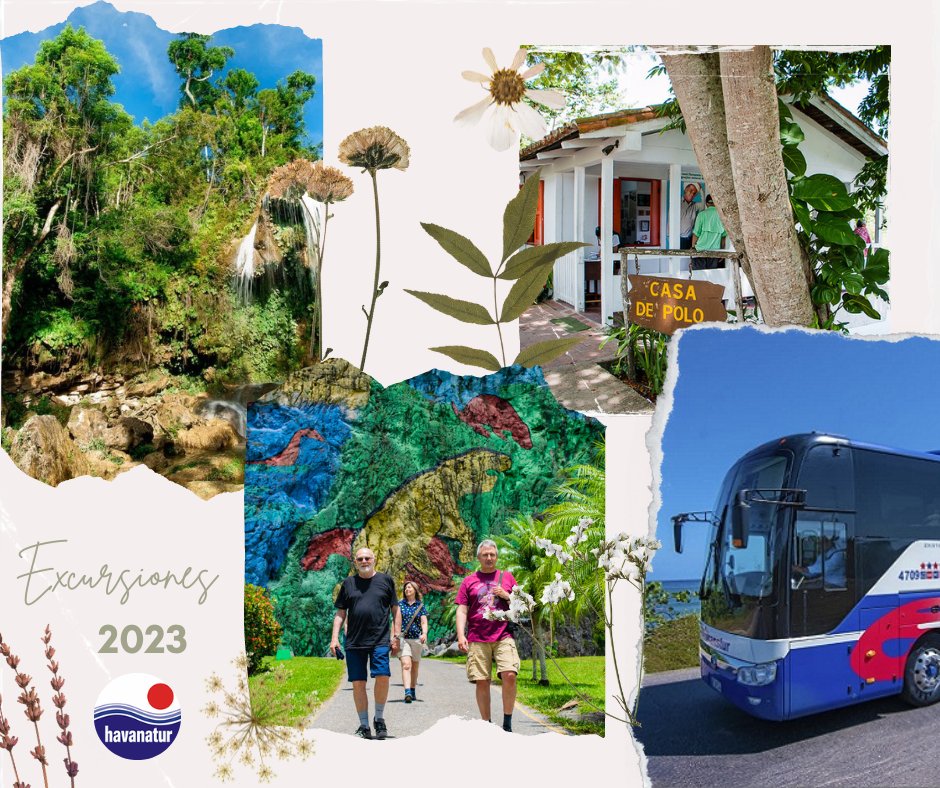 HavanaturCuba's tweet image. #OfertasHavanatur 🤩 Desde el 17 al 23 de #abril
#excursiones en nuestro sitio 👉 ogy.de/2tqs
🚌 Salidas diarias a diferentes destinos