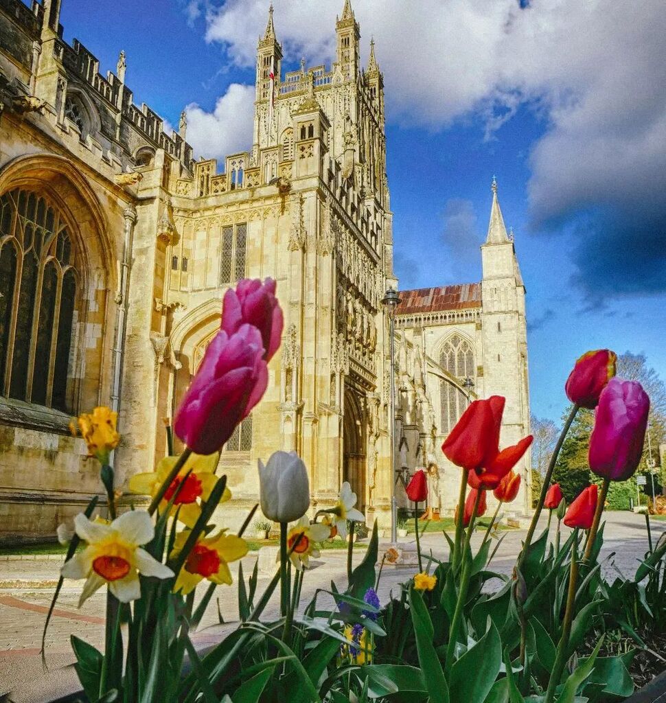 @gloucestercathedral looking gorgeous in yesterday's evening light - with a few spring flowers for good measure! Love these cheerful tubs 🌷🌷🌷🌷

#igersglos #glshooters #gloucester #visitgloucester #visitbritain #ourbritain #tulips #loveglos instagr.am/p/CrB0JV0tY68/