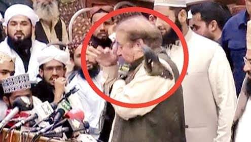 jani_mutahir's tweet photo. @MaryamNSharif Pakistani awam ki taraf say nawaz sharif k liye piyar.😂😂 https://t.co/g16vVaLbT9