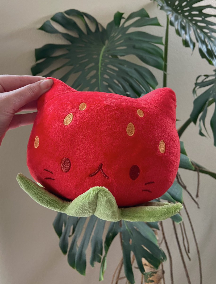 ciaraturnerart's tweet photo. Strawberry cat 🍓 https://t.co/06JlWtJHrW
