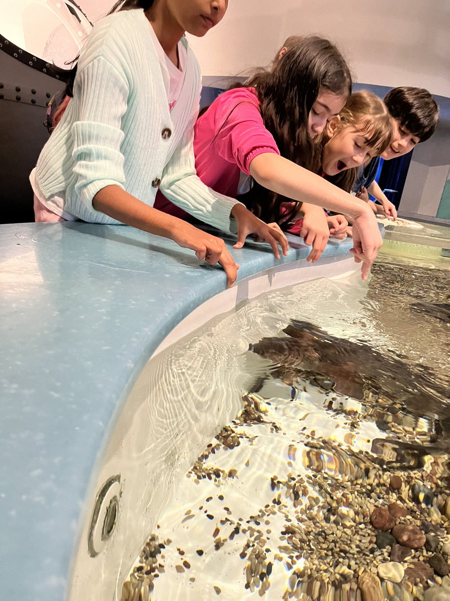 ELforestfriends's tweet photo. So fortunate to be able to take our entire school’s bilingual and EL students to @discoveryworld #pvlearns https://t.co/Q1j7idnhfn