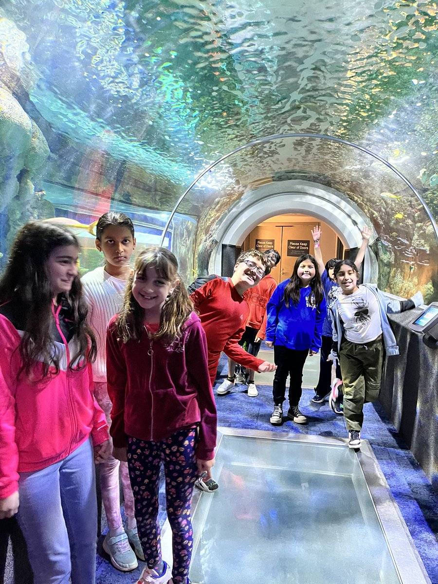 ELforestfriends's tweet photo. So fortunate to be able to take our entire school’s bilingual and EL students to @discoveryworld #pvlearns https://t.co/Q1j7idnhfn