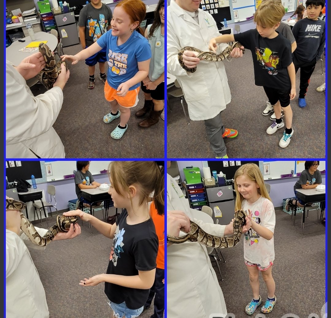 Rocket Ryan never disappoints! Today, my class got to make their own animal that would survive in a cold winter habitat. They also got to meet Slithers the snake 🐍 #scienceisfun #animaladaptations <a href="/myLSPS/">Lake Shore Public Schools</a> <a href="/VioletAllStars/">Violet Elementary School</a> <a href="/HTHTscience/">High Touch High Tech</a>