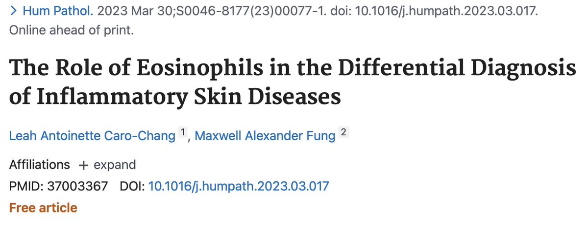 FungMaxwell's tweet photo. Finding #eosinophils in #dermpath is fun with @lamcchang 10.1016/j.humpath.2023.03.017 https://t.co/taACD9rkQx