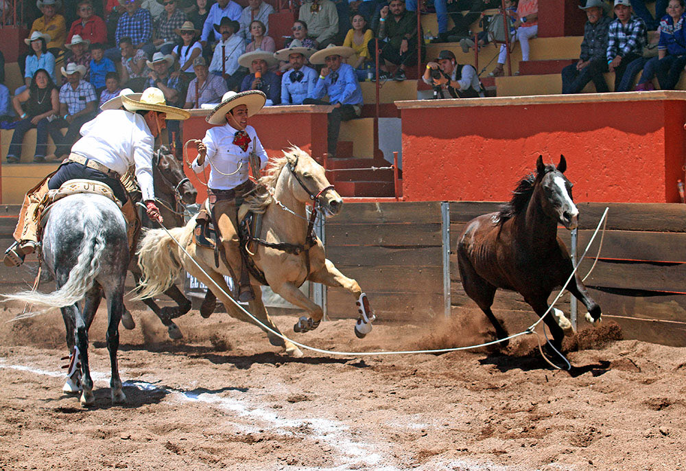 Circexcharra's tweet photo. Rancho El Diamante timbra el liderato con seis manganas

· Espectacular triunfo del equipo jalisciense con 403 puntos, ante 333 de Tlalixtac y 308 de All Horses

https://t.co/EcXtIXc0nF https://t.co/iEnlLVl5Ps