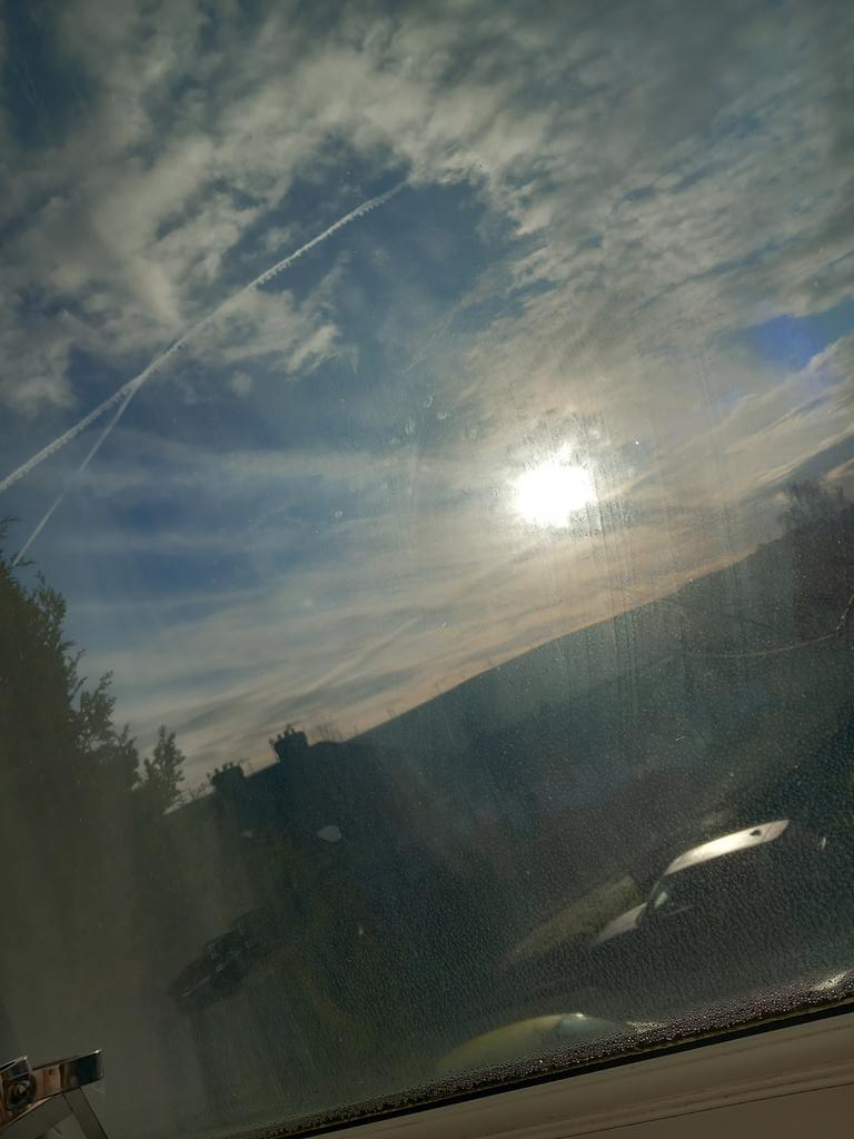 The Swede tweet media