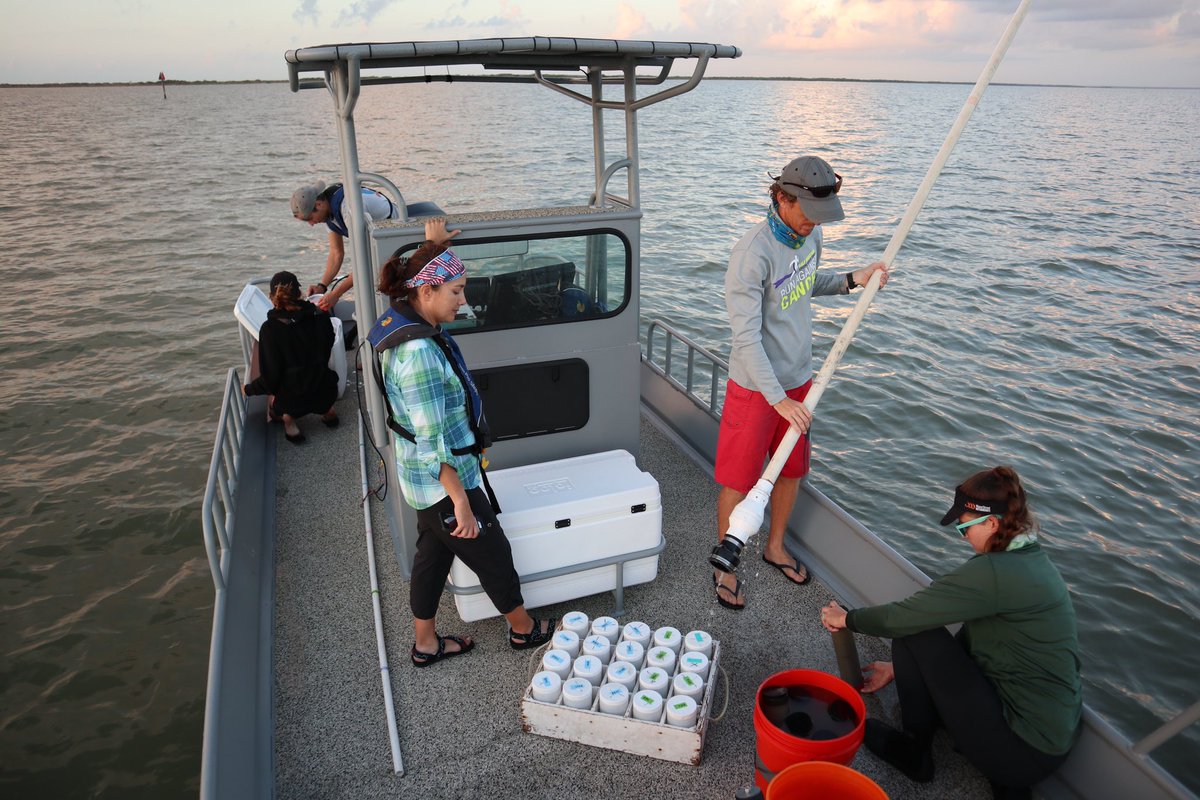 RestoreEcoLab's tweet image. We are seeking a Laboratory Technician to join our team! Check out the full position description here: 

tamus.wd1.myworkdayjobs.com/en-US/TAMUCC_E… 
  
Contact Tasha Breaux at natasha.breaux@tamucc.edu with questions.