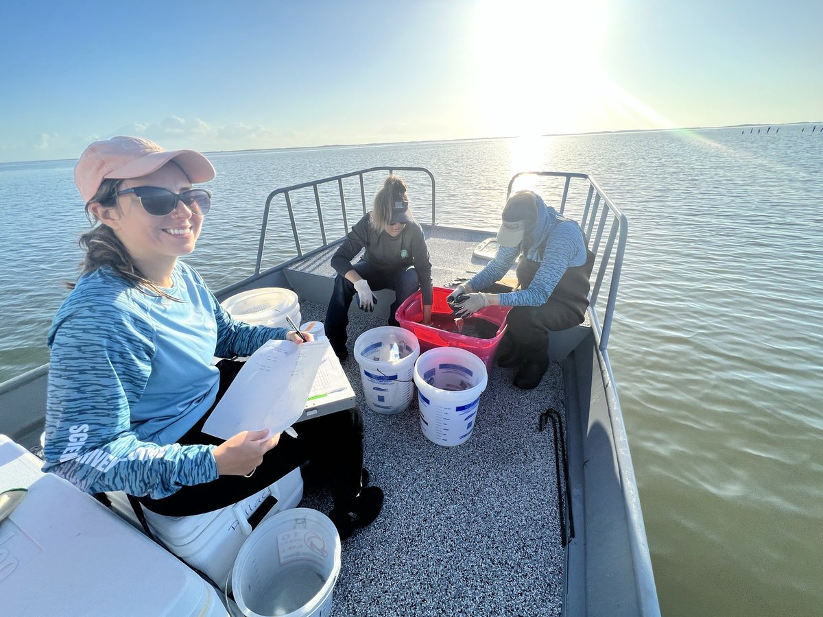 RestoreEcoLab's tweet image. We are seeking a Laboratory Technician to join our team! Check out the full position description here: 

tamus.wd1.myworkdayjobs.com/en-US/TAMUCC_E… 
  
Contact Tasha Breaux at natasha.breaux@tamucc.edu with questions.