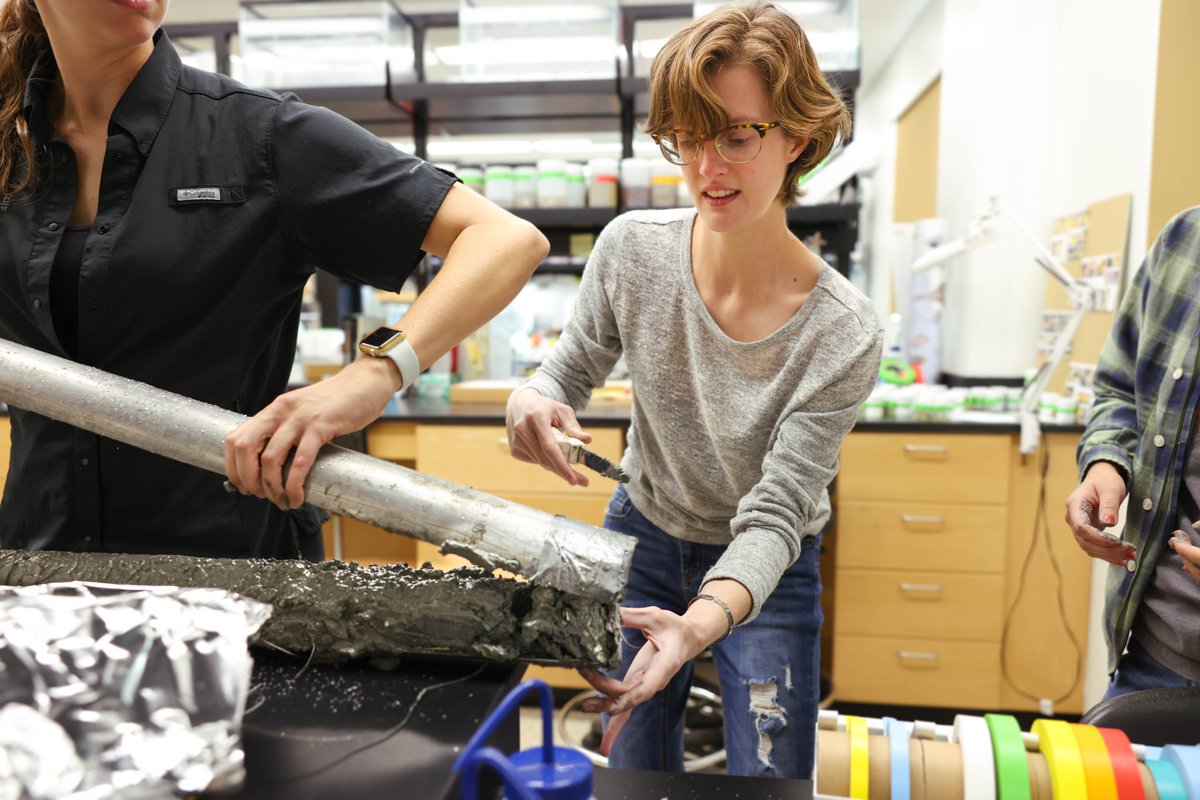 RestoreEcoLab's tweet image. We are seeking a Laboratory Technician to join our team! Check out the full position description here: 

tamus.wd1.myworkdayjobs.com/en-US/TAMUCC_E… 
  
Contact Tasha Breaux at natasha.breaux@tamucc.edu with questions.