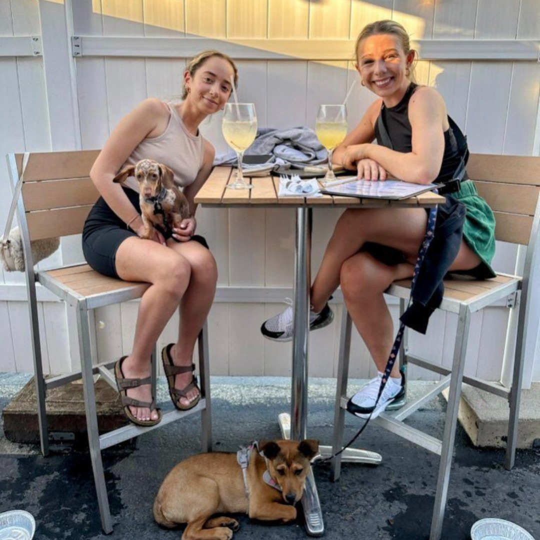 PATIO ☀️
Summer Vibes with Colby, Cornhole & Cold Beer!

#bestbartenders #tgif #cornhole #dogfriendlypatio #pvddrinks #bacardi #gatheratladder #ladder133kitchenandsocial