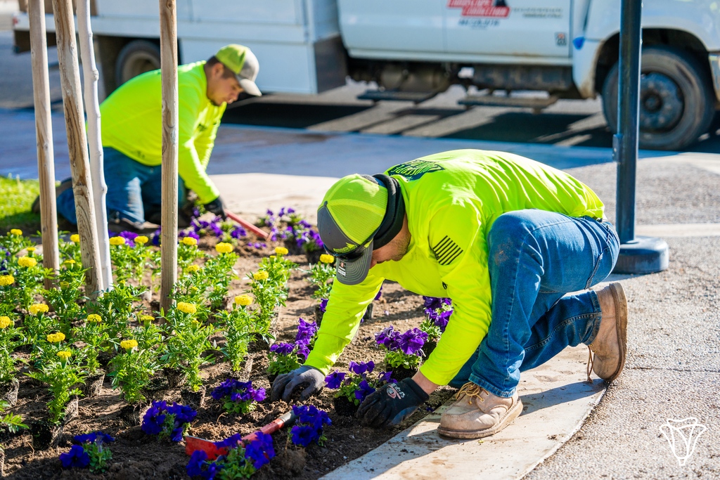 cityoflancaster's tweet image. Happy #NationalGardeningDay!🌸🌺🌻Our PARCS Team is getting Lancaster ready for spring with various #BeautificationProjects! Head to one of our Lancaster parks today to appreciate their work in person: l8r.it/3oNy. #LancasterCA #ParksAndRec #GreenLiving
