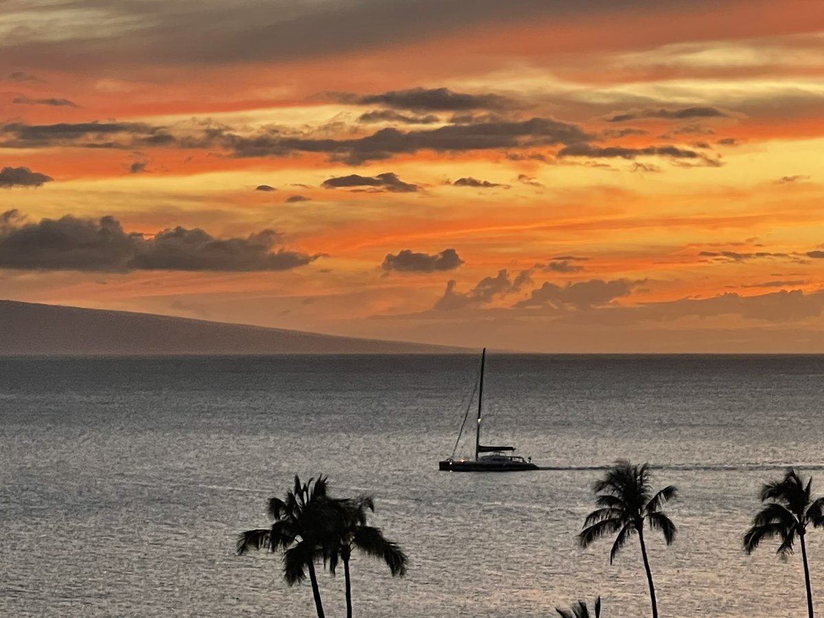 PrepsToThePros's tweet photo. Maui @BoredApeYC style! https://t.co/Iks9O4CLHh