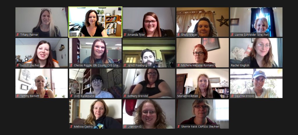 A wonderful group from Pennsylvania, USA. We worked together for 3 days. Those people are now CRISIS Schema facilitators! Congratulations.

To know more about the CRISIS Schema, visit my training page at ginamichaudtir.com/blog?lang=fr