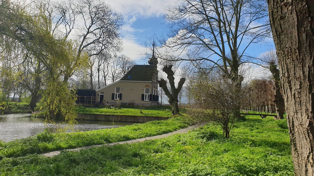 Jan Jelle Jongsma tweet media