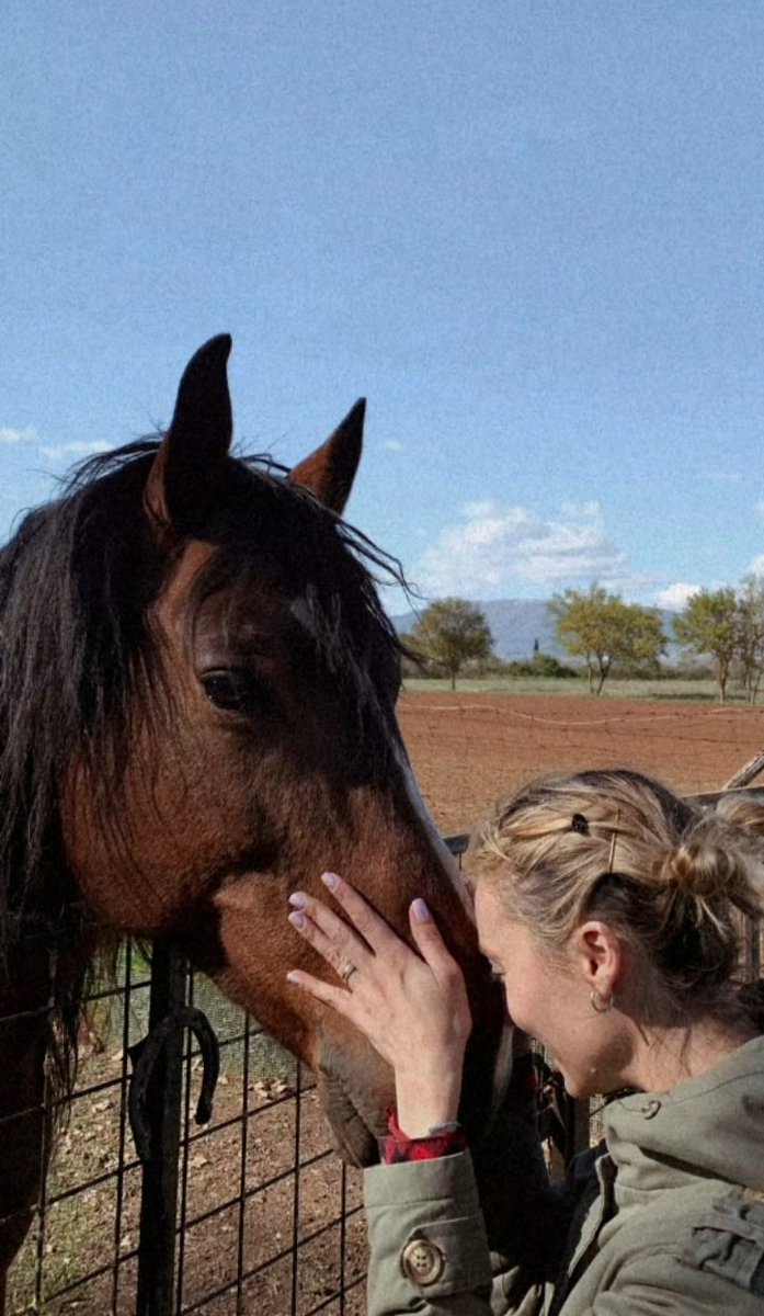 EleonoraMimini's tweet photo. La verità è che,
malgrado le difficoltà insormontabili,
tutti noi aspettiamo sempre che 
ci succeda qualcosa di straordinario ♡ https://t.co/28v2xzRmX0